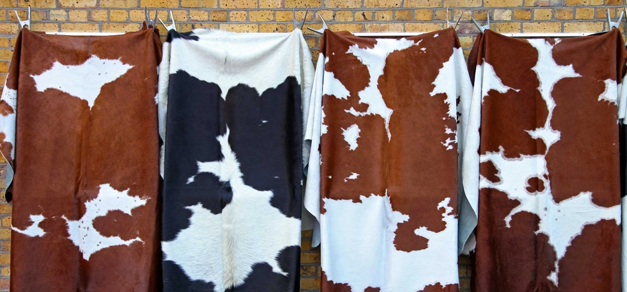 Cow leather is admired for its exceptional durability.